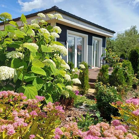 Family Garden House With Free Private Parking & Playground Riga Exterior foto